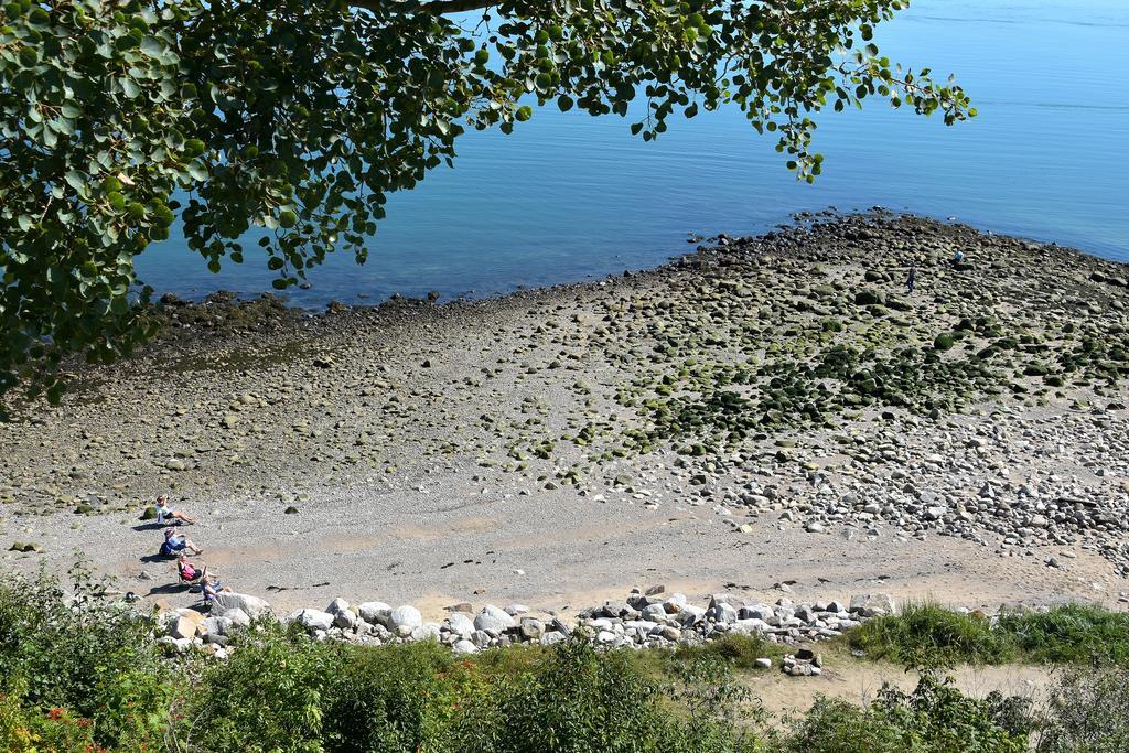 Motel Et Chalets Bo-Fleuve Evangeline Saint-Siméon Exterior foto